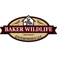 Baker Wildlife-1